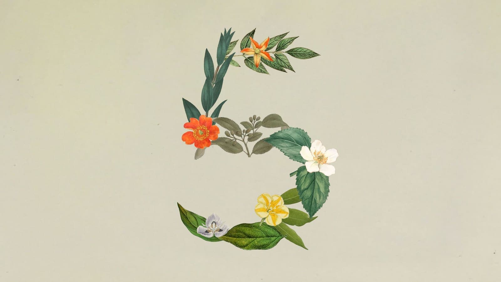 Claude Sonnet 5 & Haiku 4.5