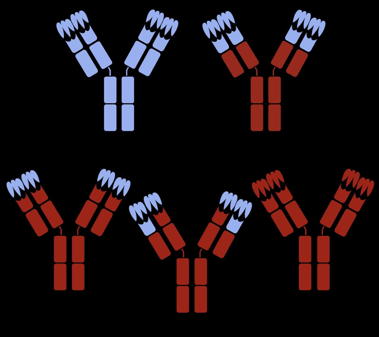 HXN-1002 and HXN-1003 (Sanofi)