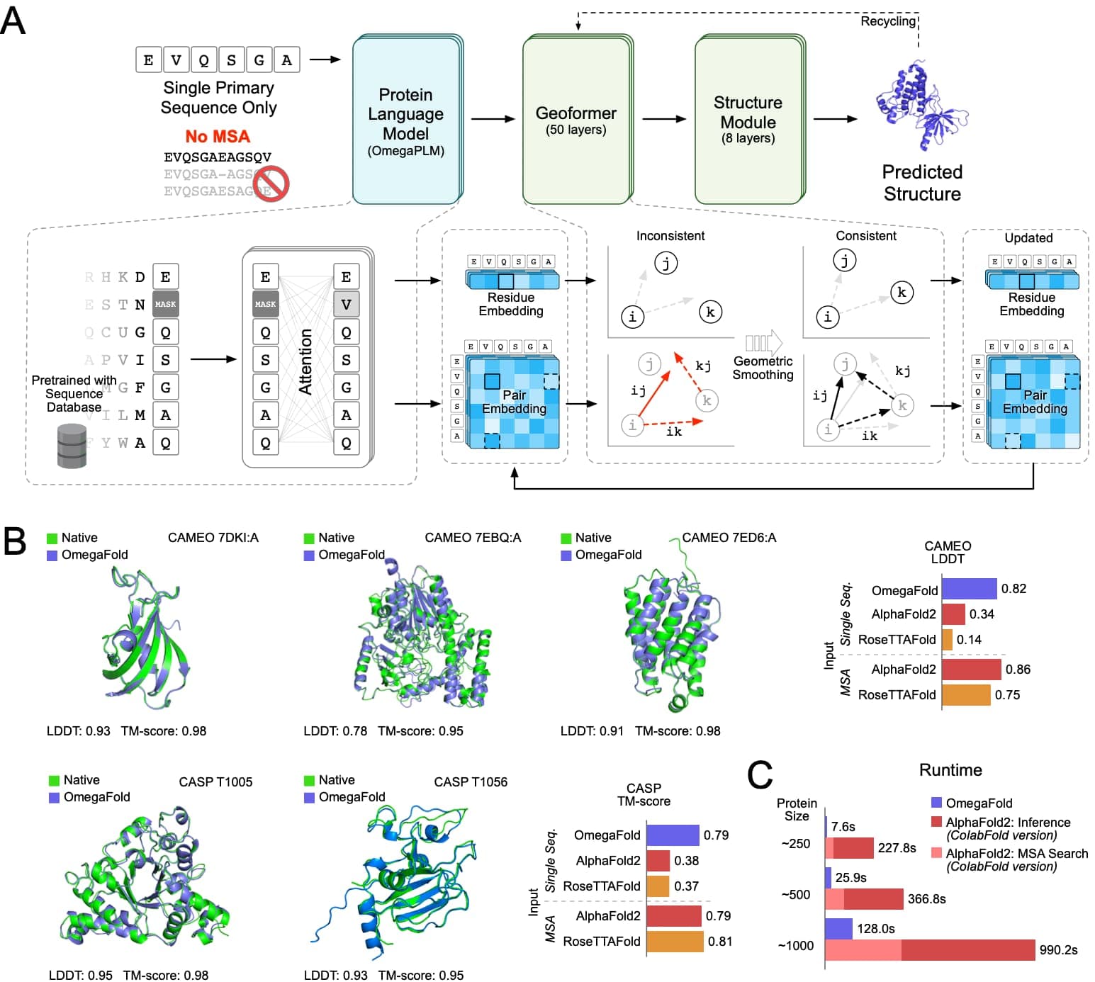Protein AI platform (OmegaFold / antibody design)