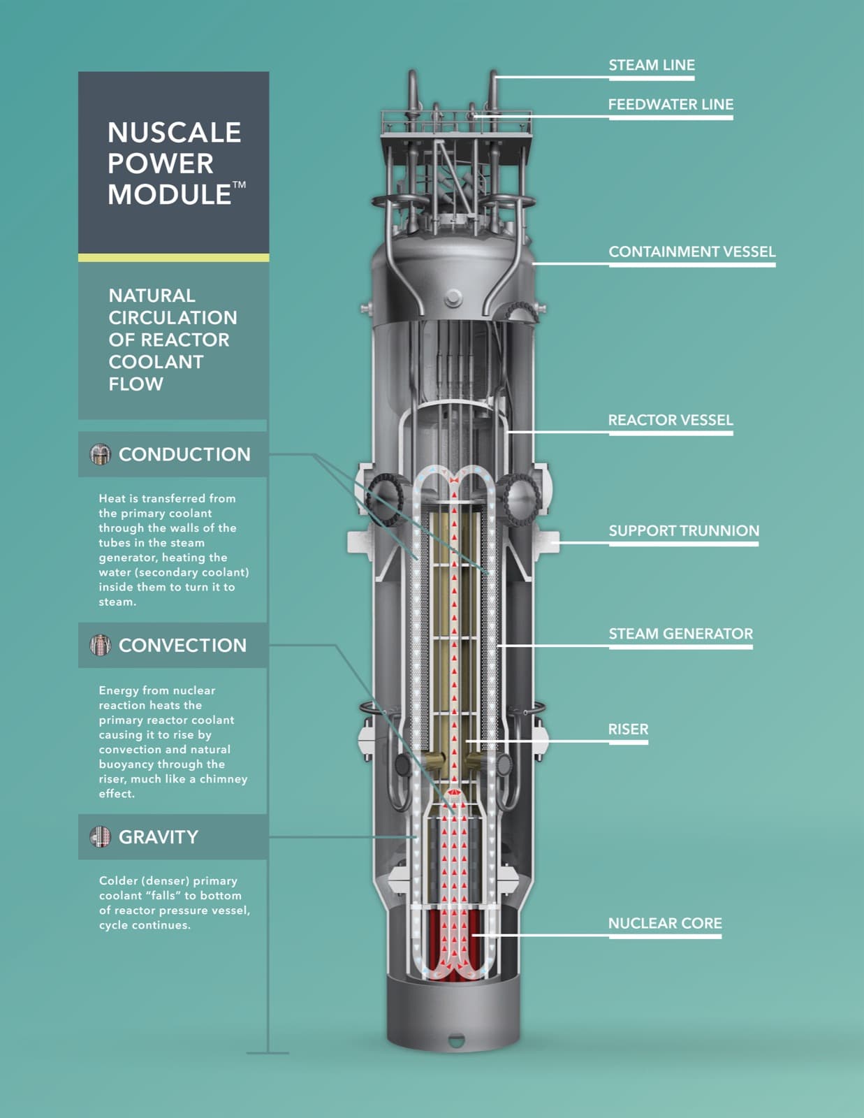 NuScale Power Module